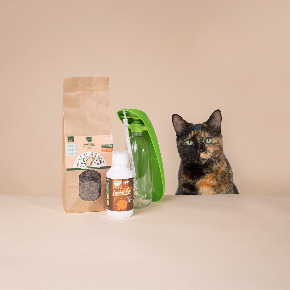 Abenteuer-Paket Rind für Katzen