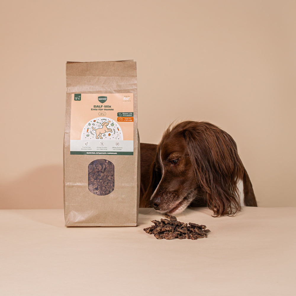 BALF-Mix Ente für Hunde