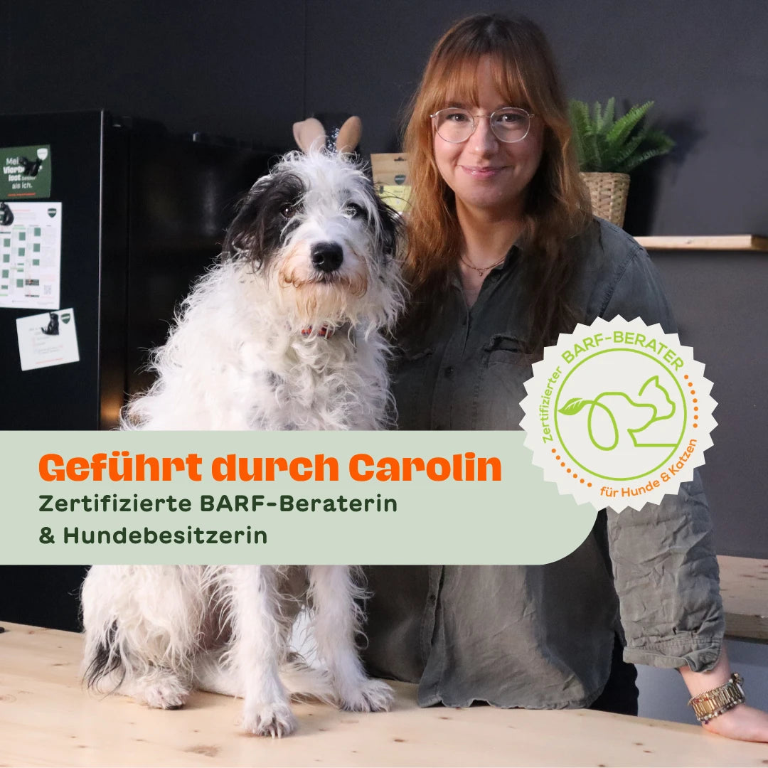 Frau mit zotteligem Hund an einem Holztisch – Text-Overlay: „Geführt durch Carolin – Zertifizierte BARF-Beraterin & Hundebesitzerin" – Siegel: „Zertifizierter BARF-Berater für Hunde & Katzen"