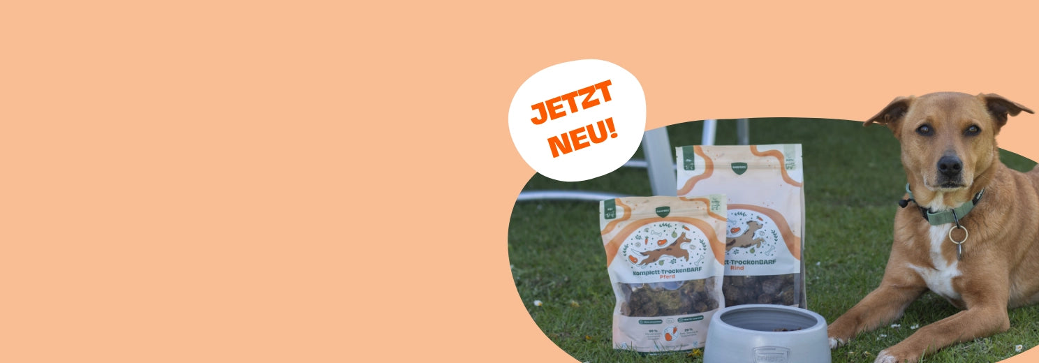 Brauner Hund liegt auf der Wiese neben zwei Packungen BARFER'S Komplett-TrockenBARF und einem Napf