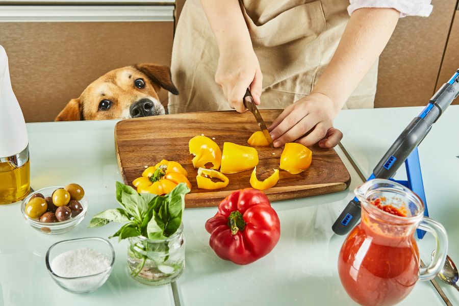 Hund der Paprika essen möchte