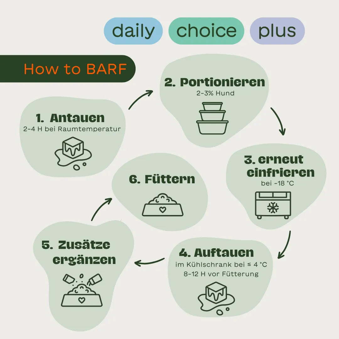 Infografik „How to BARF“ in 6 Schritten: 2-4 H Antauen bei Raumtemperatur, Portionieren (2–3 % vom Hundekörpergewicht), erneutes Einfrieren bei −18 °C, 8-12 H vor der Fütterung Auftauen im Kühlschrank, Zusätze ergänzen und Füttern