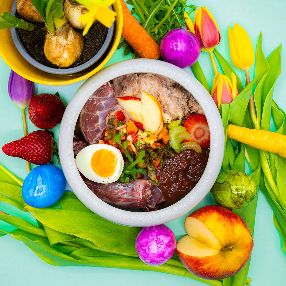 Frühlingsnapf Kaninchen mit Geflügel & Rind für Hunde