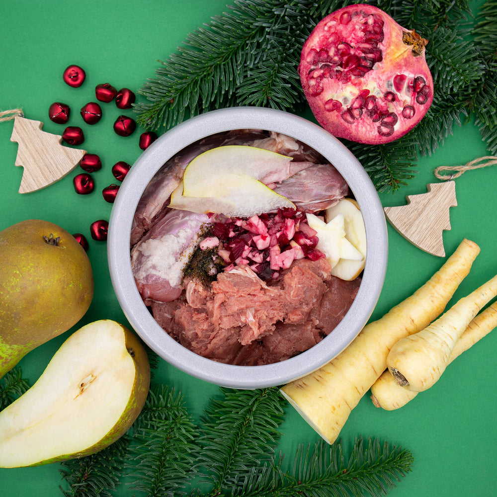BARF-Weihnachtsnapf für Hunde mit Ente und Lamm – im Napf sind rohes Entenfleisch, ein Entenhals, Lamminnereien, Pastinaken, Birne, Apfelstücke, rote Beete und Seealgenmehl zu sehen, umgeben von Tannenzweigen, Granatapfel, Holzdeko und winterlichem Gemüse auf grünem Hintergrund