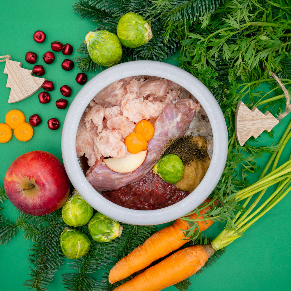 BARF-Weihnachtsnapf für Hunde mit Truthahn und Lamm – im Napf sind rohes Putenfleisch, Lamminnereien, ein Putenhals, Lammpansen, Karotten, Apfelstücke, Rosenkohl, Kürbispüree und Seealgenmehl zu sehen, umgeben von Tannenzweigen, Holzdeko und winterlichem Gemüse auf grünem Hintergrund