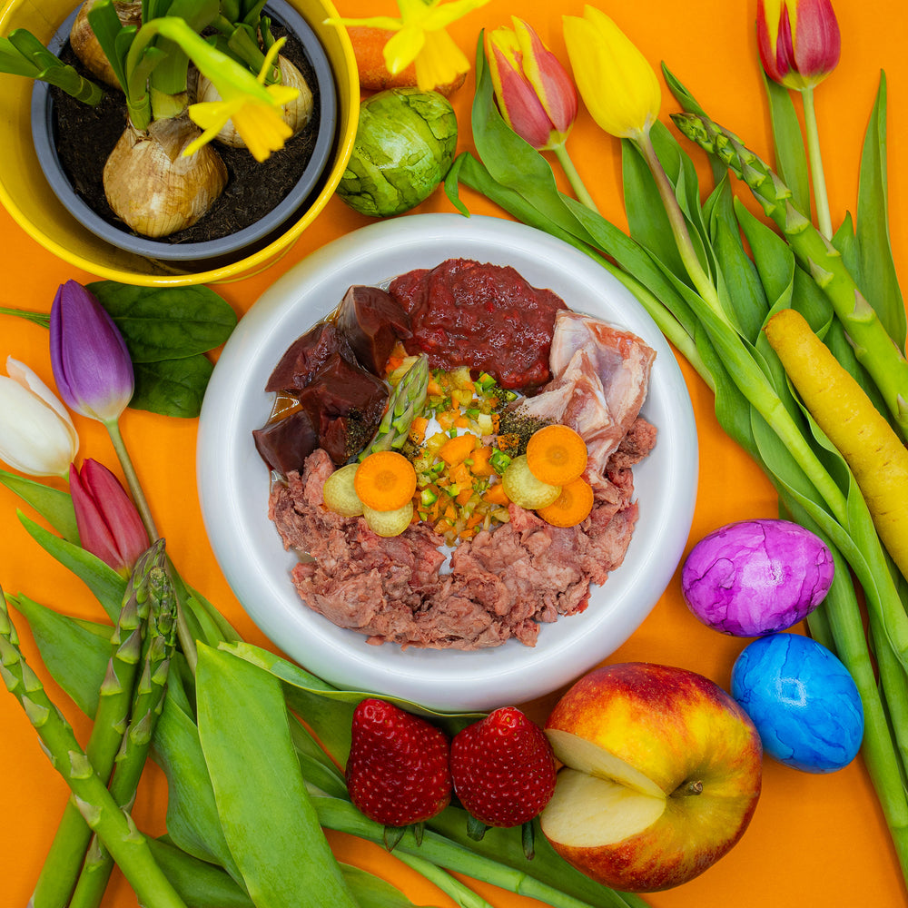 Frühlingsnapf Lamm mit Spargel für Katzen