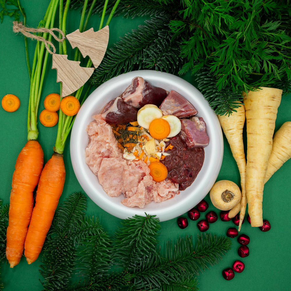 BARF-Weihnachtsnapf für Katzen mit Truthahn / Pute, Ente & Rind