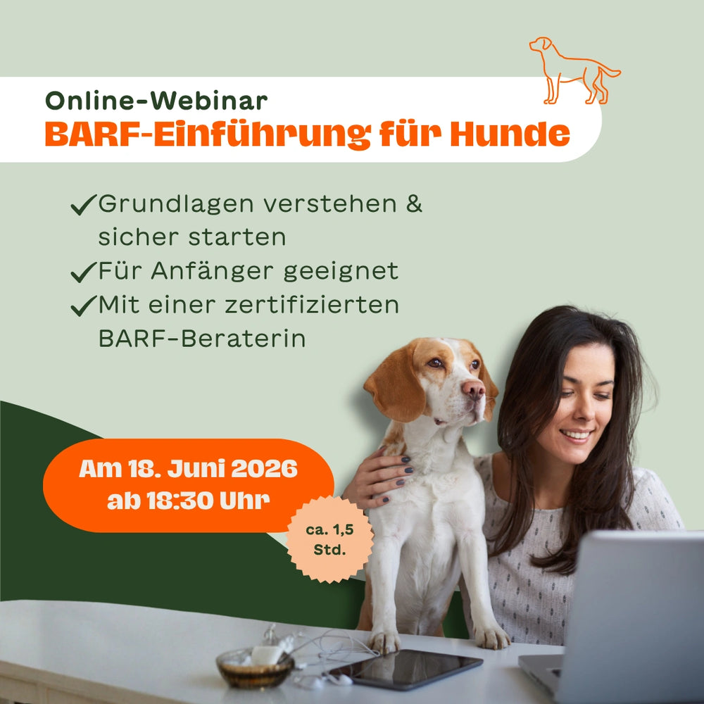 Frau sitzt mit Beagle vor einem Laptop – Text-Overlay: „Online-Webinar BARF-Einführung für Hunde – Grundlagen verstehen & sicher starten, für Anfänger geeignet, mit einer zertifizierten BARF-Beraterin – am 18. Juni 2026 ab 18:30 Uhr, ca. 1,5 Std."