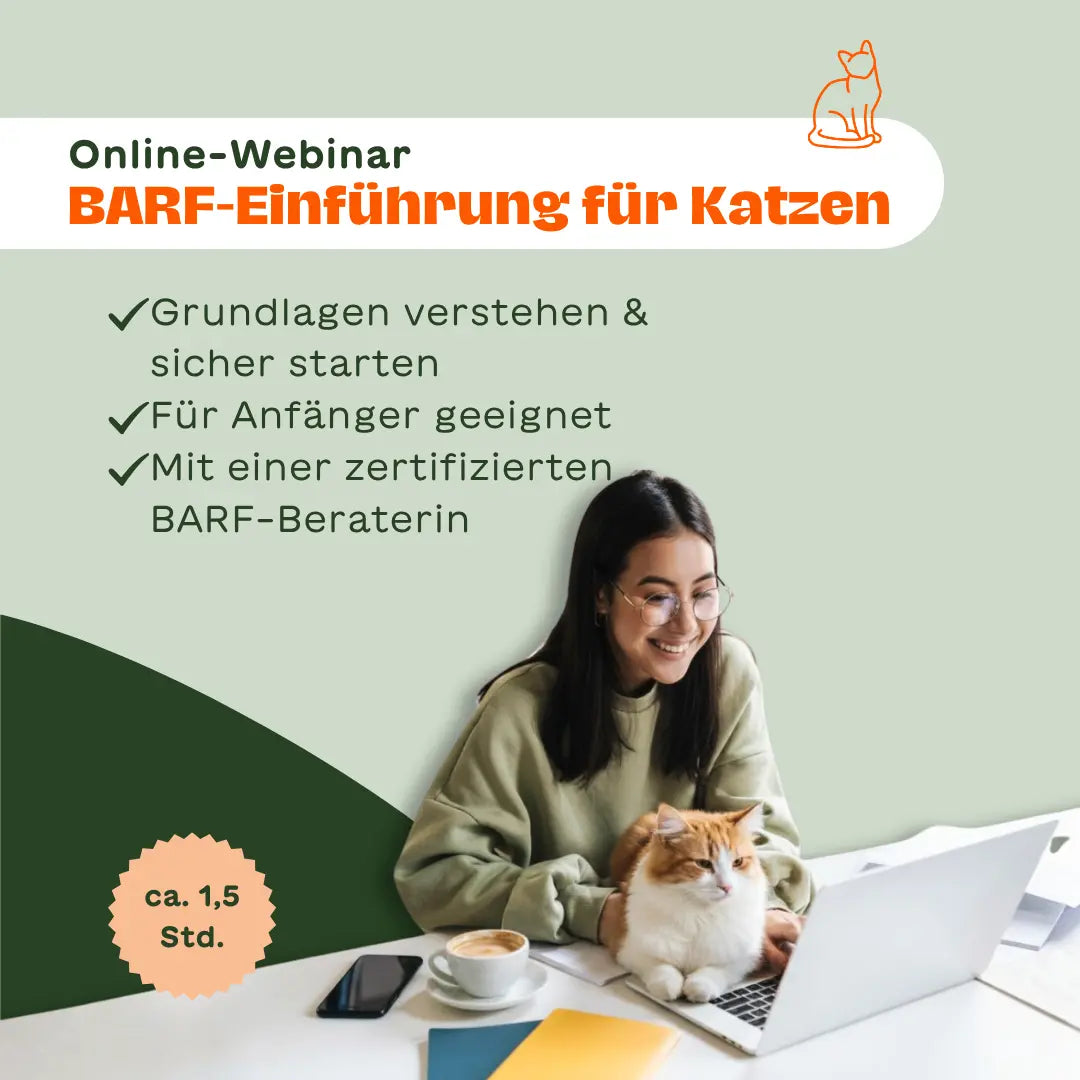 Frau sitzt mit Katze vor einem Laptop – Text-Overlay: „Online-Webinar BARF-Einführung für Katzen – Grundlagen verstehen & sicher starten, für Anfänger geeignet, mit einer zertifizierten BARF-Beraterin"