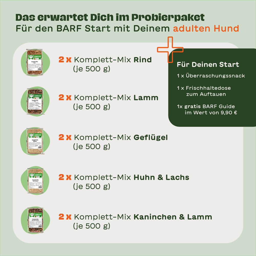 aufbewahrung getrnke Getrnkebehlter Ice Cold IB  Das Wohngut
