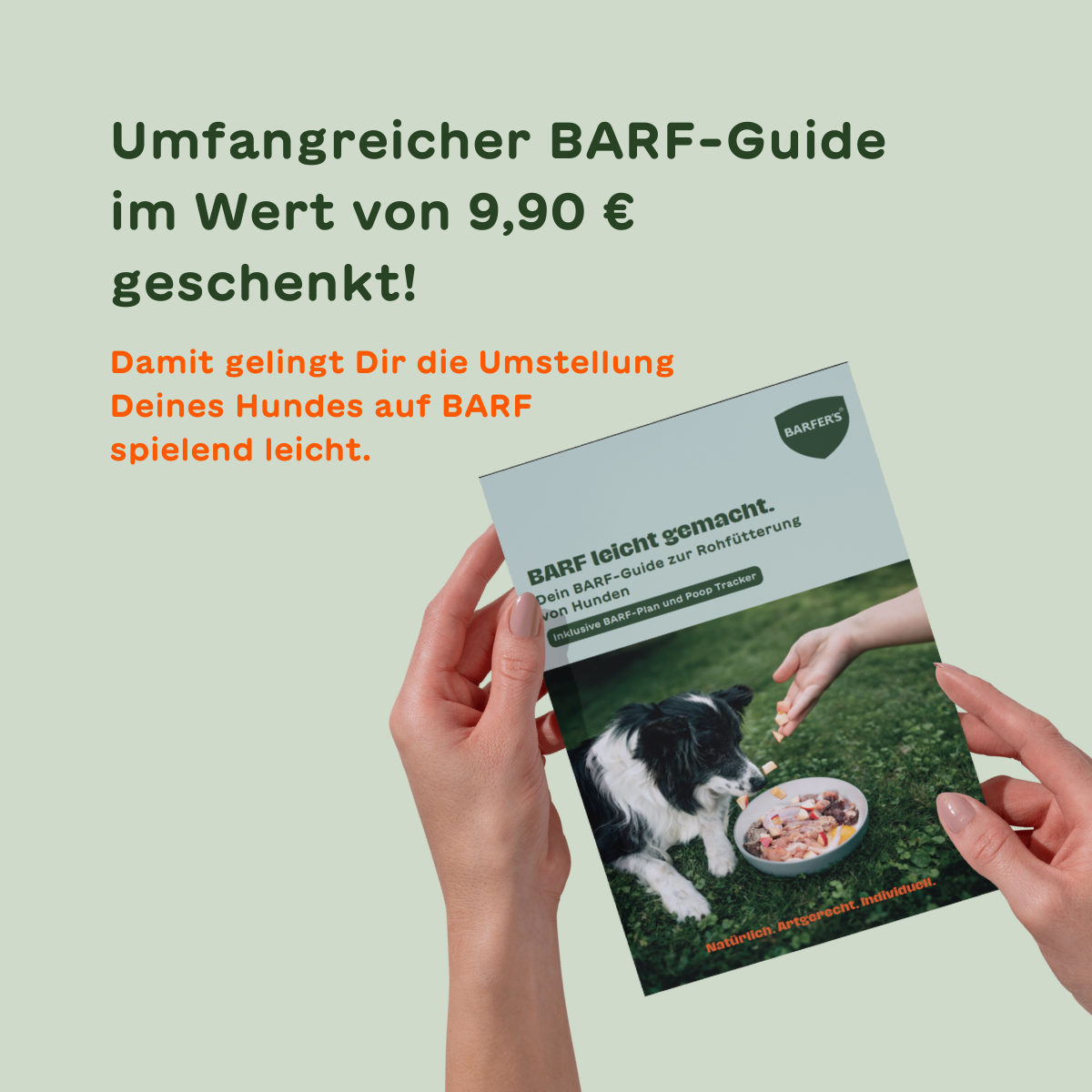 NEU BARFER’S Probierpaket Pferd für Hunde