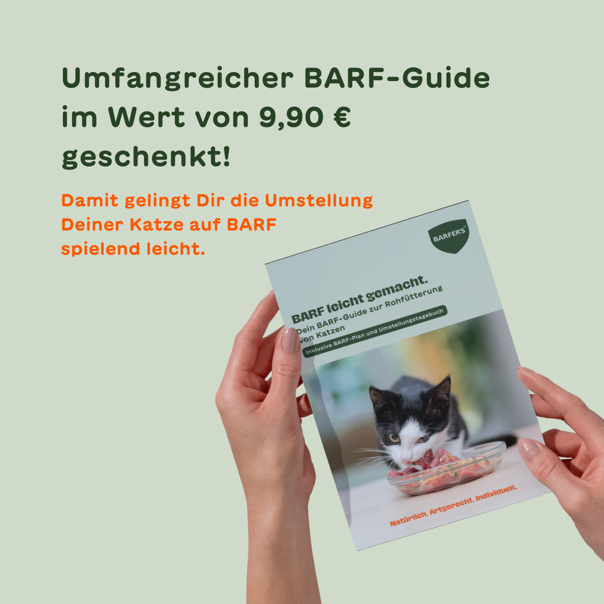 NEU BARFER’S Probierpaket für Katzen