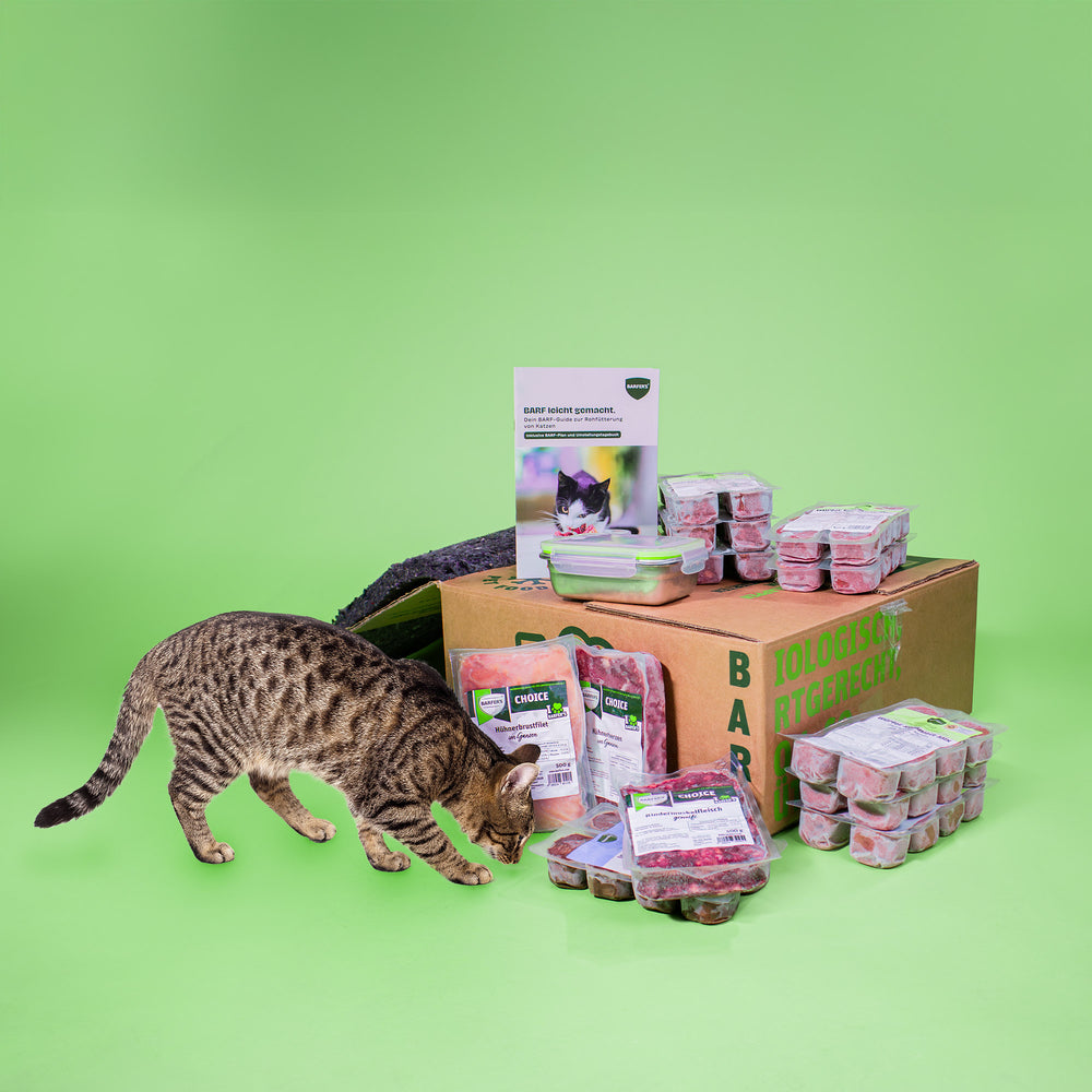 NEU BARFER’S Probierpaket Würfel für Katzen