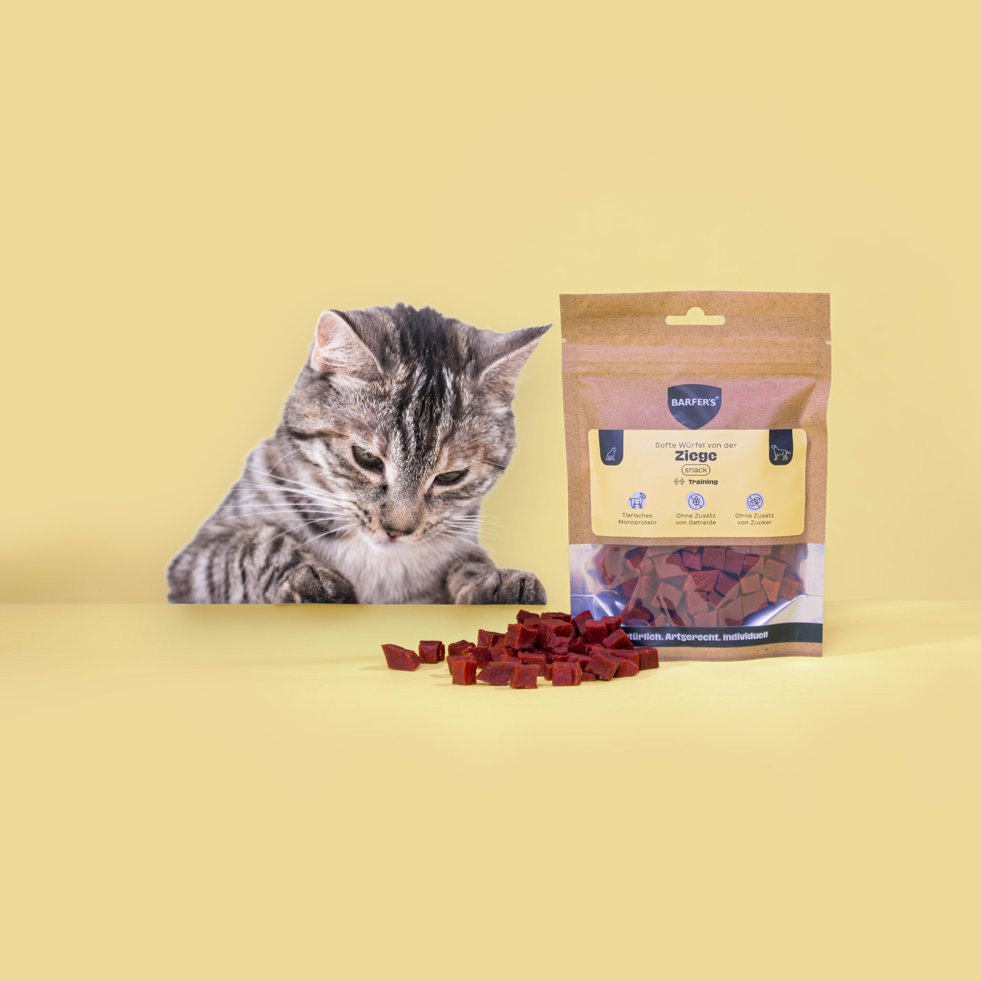 Trainingshelden Paket Exotic