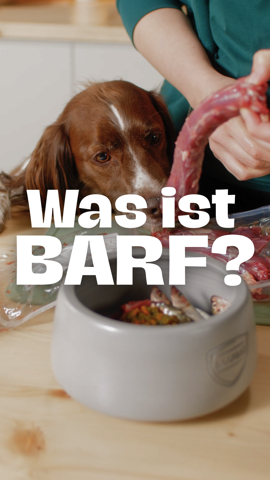 BARFER'S: Dein artgerechter BARF-Shop fr Hunde & Katzen  BARFER'S