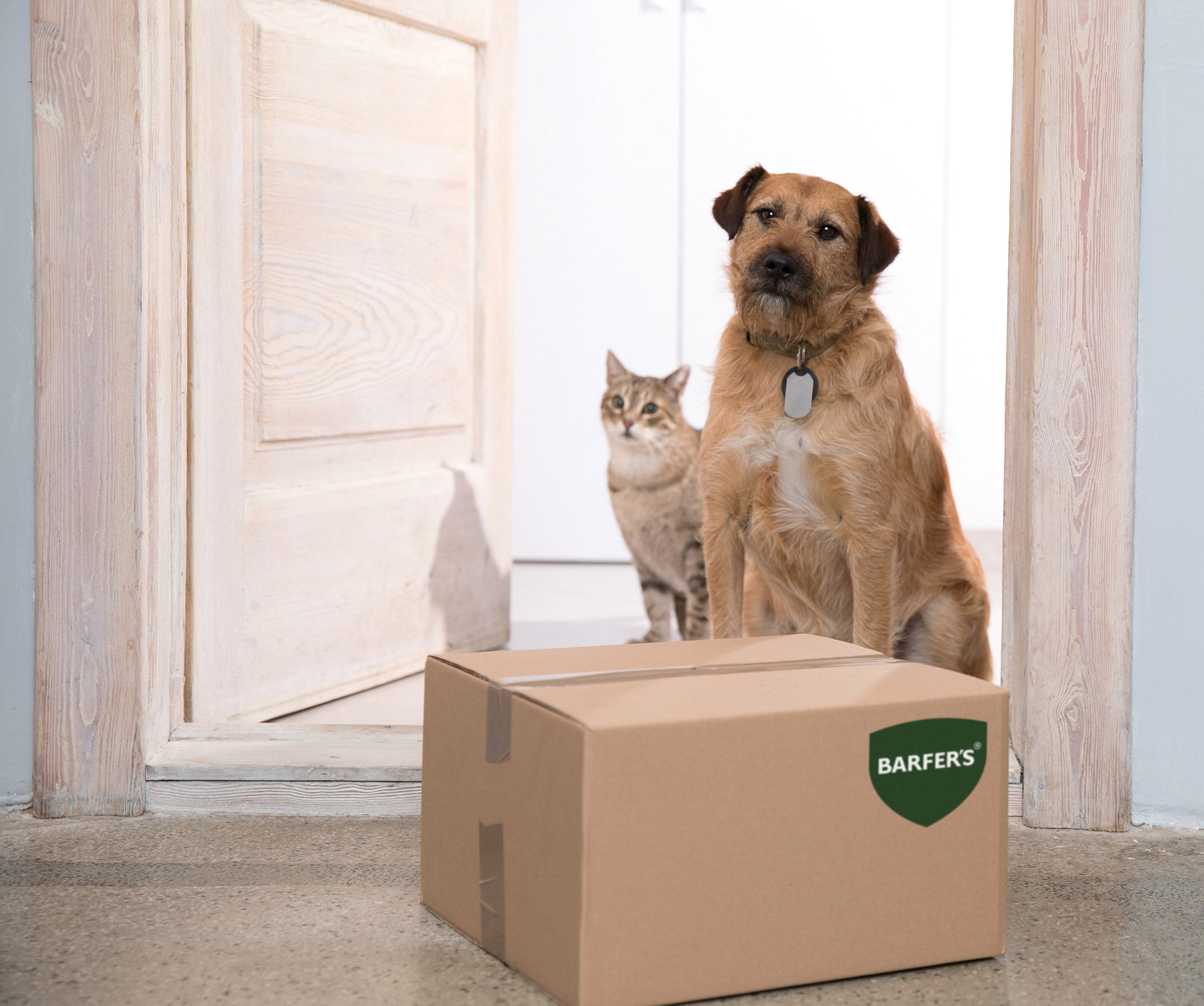 Ein brauner Versandkarton mit BARFER'S Label steht vor einer Katze und einem Hund in einer geöffneten Tür.