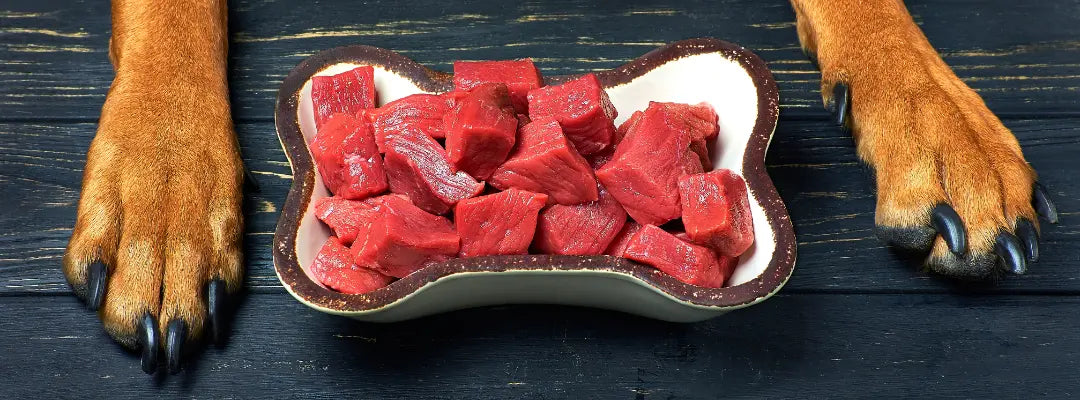 Napf in Knochenform mit rohem, gewürfeltem Muskelfleisch auf dunklem Holztisch, links und rechts davon die braunen Vorderpfoten eines Hundes, der auf seine BARF-Mahlzeit wartet